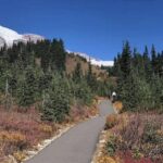 Seattle:Small Group Mount Rainier National Park 1-Day Tour - Longmire Museum