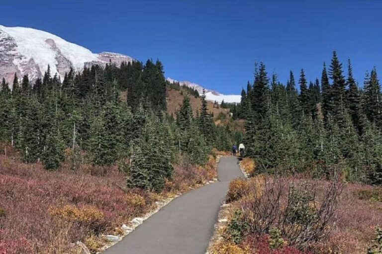 Seattle:Small Group Mount Rainier National Park 1-Day Tour - Longmire Museum
