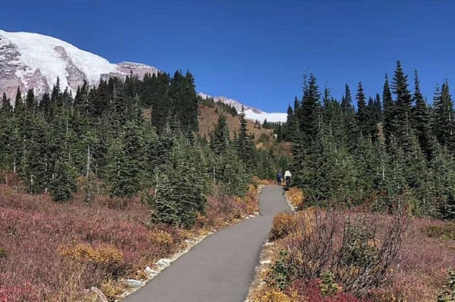 Seattle:Small Group Mount Rainier National Park 1-Day Tour - Longmire Museum