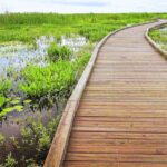 Self-Guided Audio Driving Tour in Creole Nature Trail - Why This Tour Offers Excellent Value