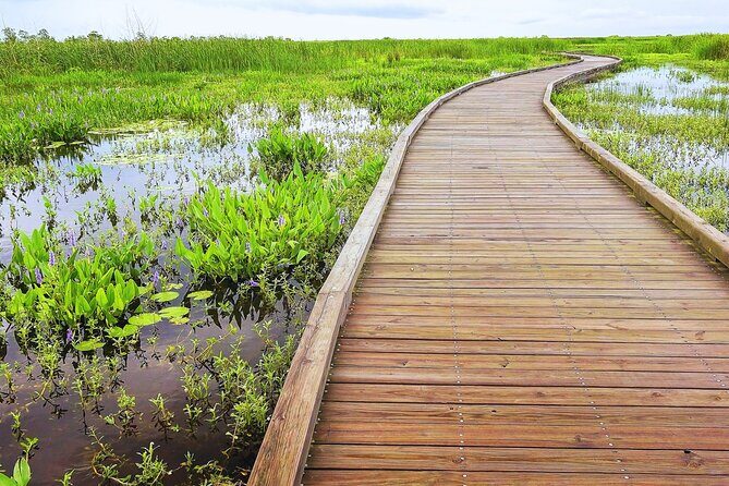 Self-Guided Audio Driving Tour in Creole Nature Trail - Why This Tour Offers Excellent Value