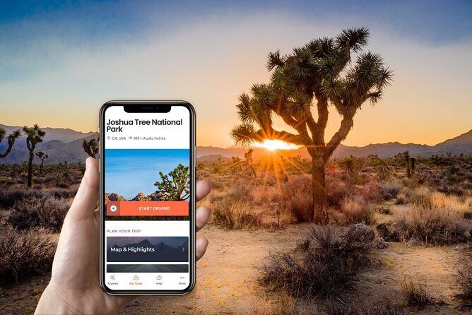 Self-Guided Driving Audio Tour in Joshua Tree National Park - Practical Aspects and Value