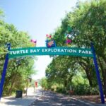 Self-Guided Scavenger Hunt: A Green Day by Reddings River - The Sum Up