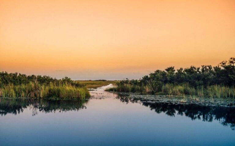 Semi-Private Everglades Tour from Miami Or Fort Lauderdale - Who Will Love This Tour?