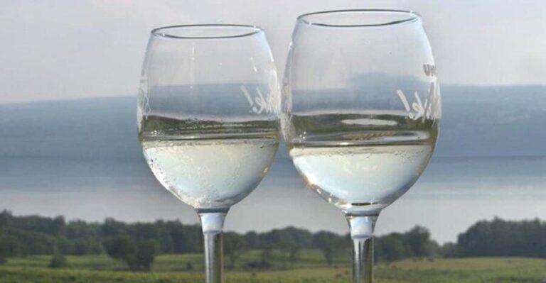 Seneca Lake: Wine Tasting Tour - Who Should Consider This Tour?