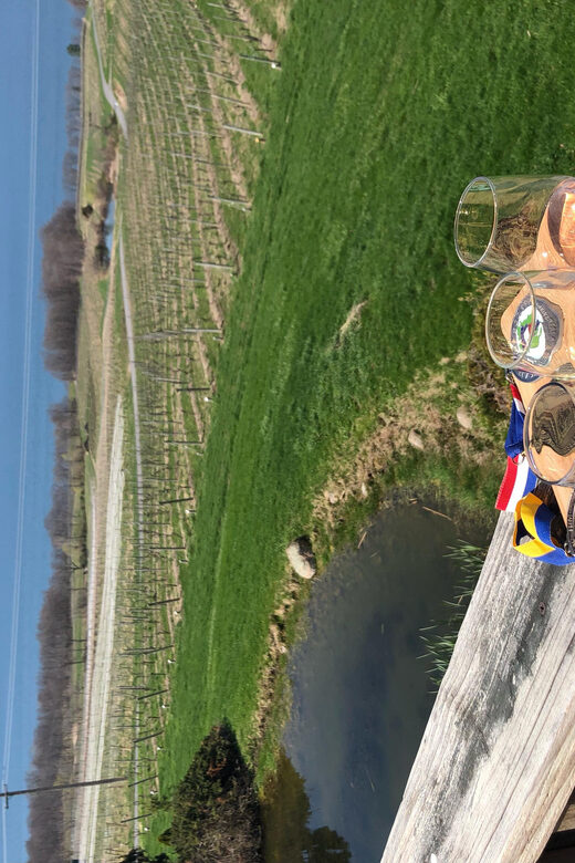 Seneca Lake: Wine Tasting Tour with Lunch - Exploring the Details of the Seneca Lake Wine Tasting Tour
