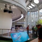 SF: CA Academy of Sciences & Hop-on Hop-off Tour (Save 15%) - Who Is This Tour Best For?