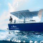 Shark Snorkeling Experience in South Florida - Why Travelers Rave About This Experience