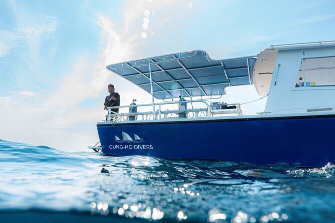 Shark Snorkeling Experience in South Florida - Why Travelers Rave About This Experience