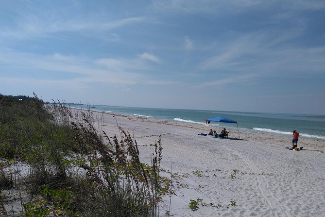 Shelling on Cayo Costa and Lunch at Cabbage Key - Who Is This Tour Best For?