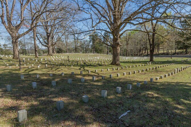 Shiloh Battlefield Self-Guided Driving Audio Tour - Who Is This Tour Best For?