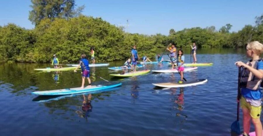 Siesta Key: Mangrove Kayak or Paddleboard Tour - Whats Included and Practical Details