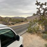Sightseeing Adventure Tour of Joshua Tree Park (Max 10) - Why This Tour Is Worth Considering