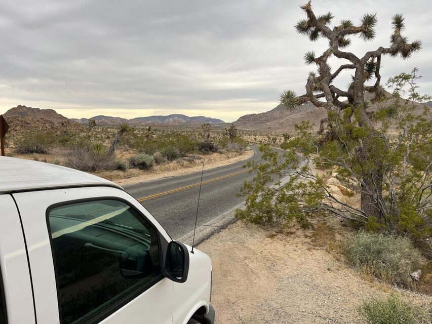 Sightseeing Adventure Tour of Joshua Tree Park (Max 10) - Why This Tour Is Worth Considering
