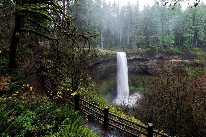 Silver Falls Private Hike Tour - Is It Worth the Price?