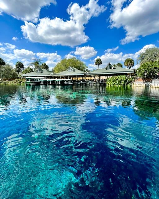 Silver Springs: Clear Kayak Wildlife Tour - What to Expect on Your Kayak Adventure