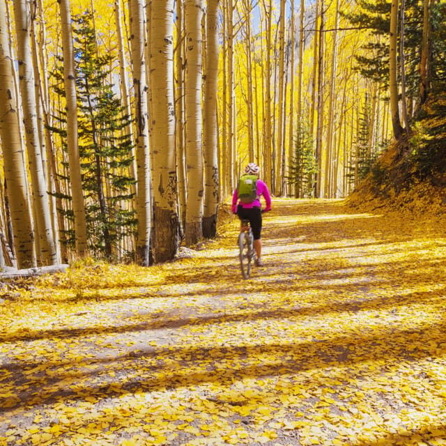 Silverthorne: Mountain Bike Ride Salt Lick Trails - The Day’s Itinerary — Well Organized for Fun and Ease