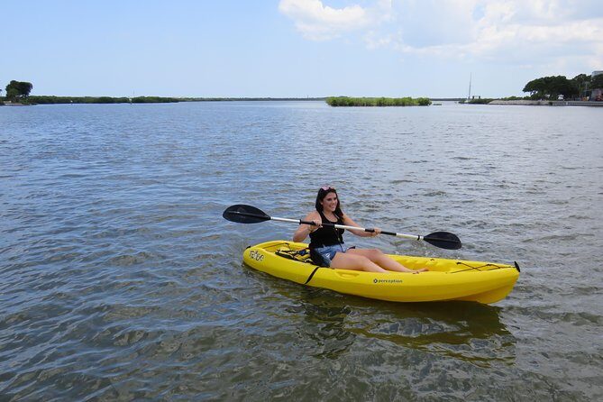 Single Kayak Rental to Explore the backwaters of Rose Bay - The Value Proposition: Why This Kayak Rental Makes Sense