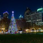 Sip, Savor and Sparkle Holiday Dining Experience - Value and Practical Considerations