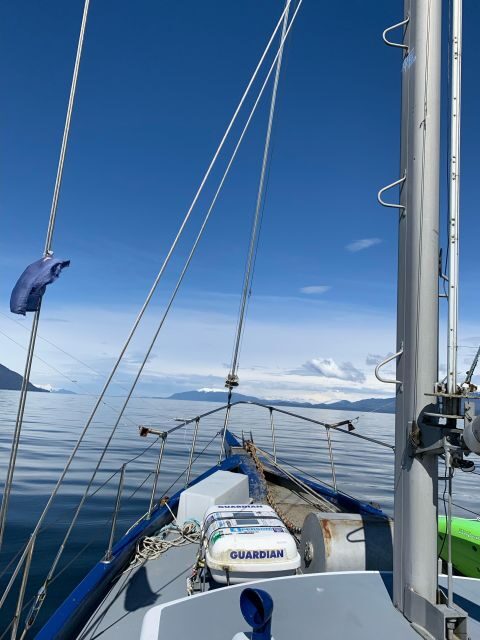 Sitka Boat Tours: whale watching, hot springs, kayaking - The Value of the Experience