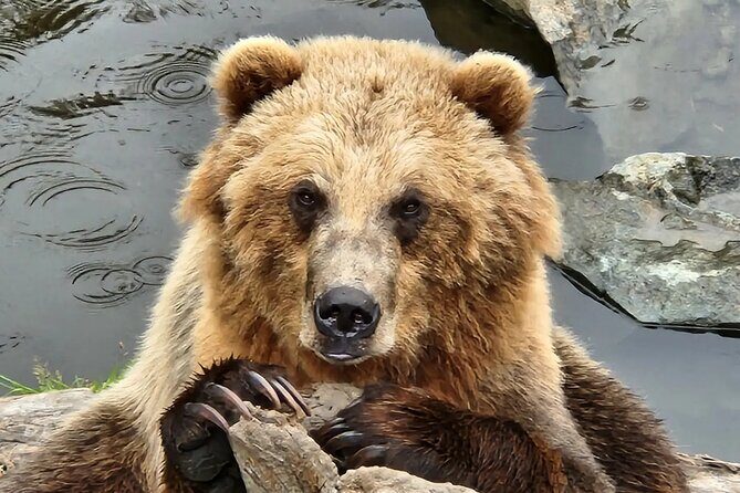 Sitka's only Private Simply Amazing Tour - Who Will Love This Tour?