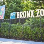Skip-the-line Tickets to Bronx Zoo with Private Transfers - Detailed Breakdown of the Itinerary