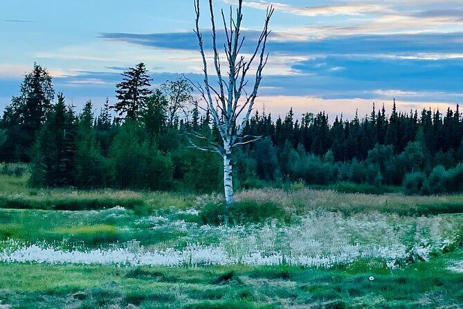 Small Group 18-hole Golf Experience in Fairbanks - Final Thoughts