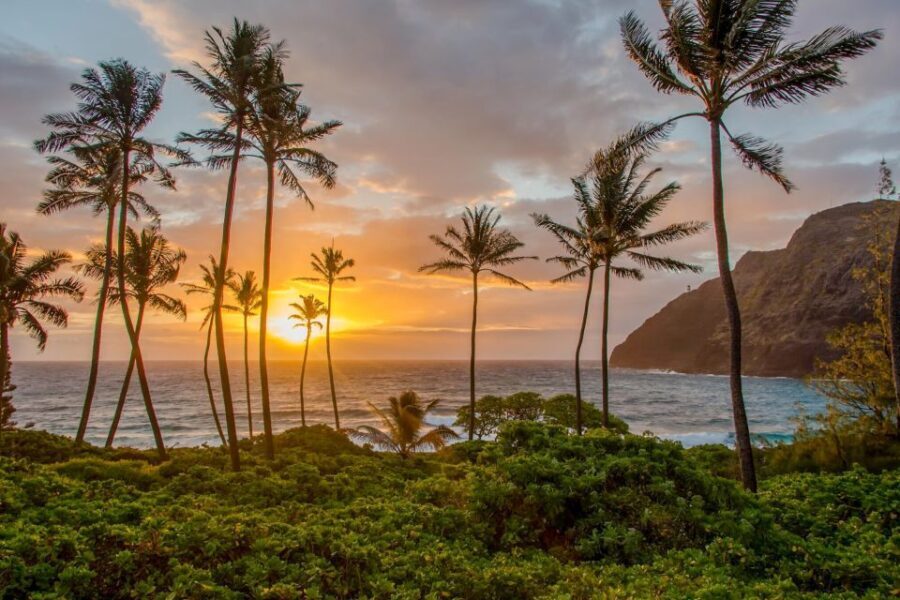 Small Group 3 Hour Honolulu Sunrise Tour with Malasadas - The Experience from a Guest’s Perspective