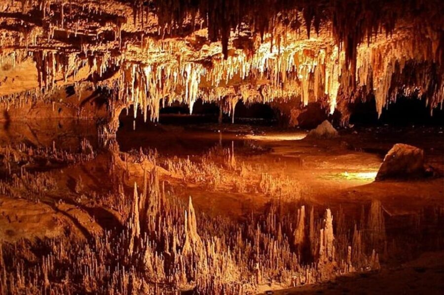 Small-Group DC Day Trip to Shenandoah Park&Luray Cavern - Final Thoughts