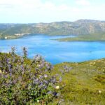 Small Group Hike Through San Diego's Heart and Soul - Who Is This Tour Best For?