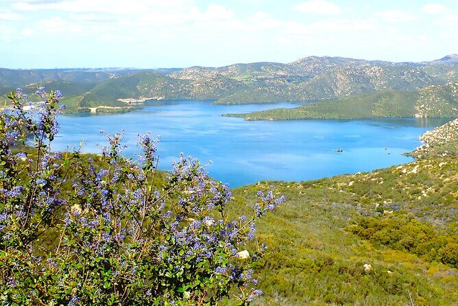 Small Group Hike Through San Diego's Heart and Soul - Who Is This Tour Best For?