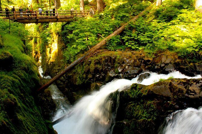 Small Group Olympic National Park Day Tour from Seattle 2CanGo - Who Is This Tour Best For?