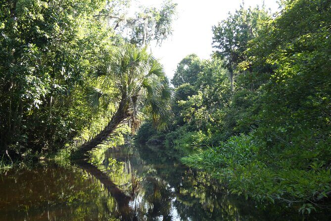 Small Group Scenic Wekiva River Kayak Tour near Orlando - Who Is This Tour Best For?