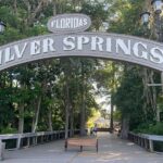 Small Group Silver Springs State Park 1-Day Tour from Orlando - Practical Tips for Your Day Out