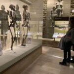 Smithsonian National Museum of Natural History Guided Tour - Who Will Benefit Most from This Tour?