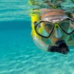 Snorkel Fort Lauderdale Jean Cousteaus Reef and Snorkel Trail - Who Would Love This Tour?