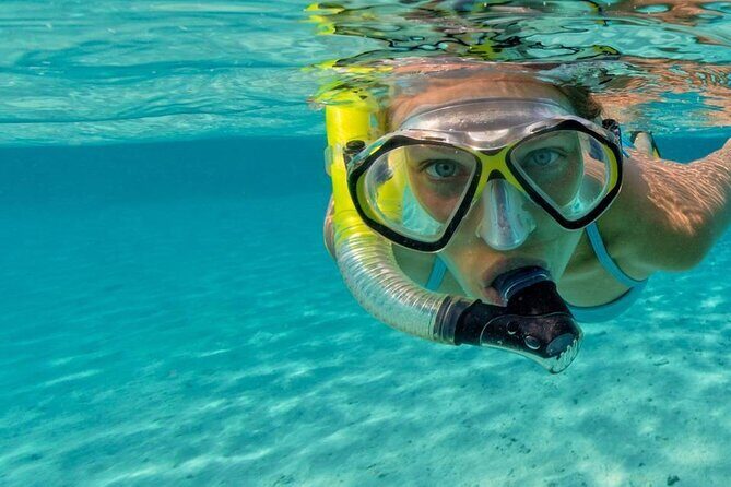 Snorkel Fort Lauderdale Jean Cousteaus Reef and Snorkel Trail - Who Would Love This Tour?