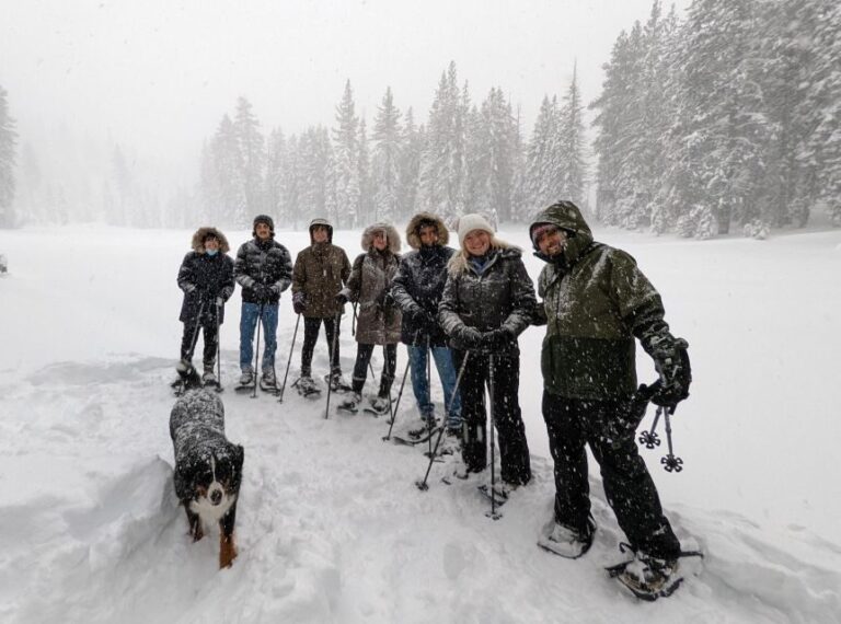 Snowshoe Rentals and Self Guided tour on Private Trails - The Value of This Experience