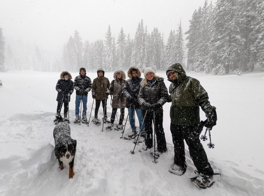 Snowshoe Rentals and Self Guided tour on Private Trails - The Value of This Experience