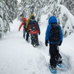 Snowshoe Rentals in South Lake Tahoe - Pricing & Value Analysis