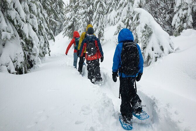 Snowshoe Rentals in South Lake Tahoe - Pricing & Value Analysis