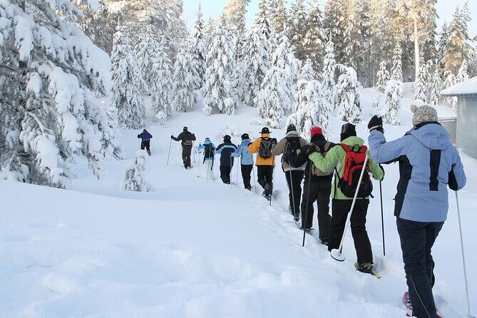 Snowshoe Tour in the Lake Tahoe Mountains - Who Should Consider This Tour?