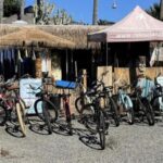 Solana Beach: Beach Cruiser Full-Day Bike Rental - Who Will Love This Experience?