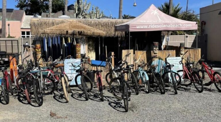 Solana Beach: Beach Cruiser Full-Day Bike Rental - Who Will Love This Experience?