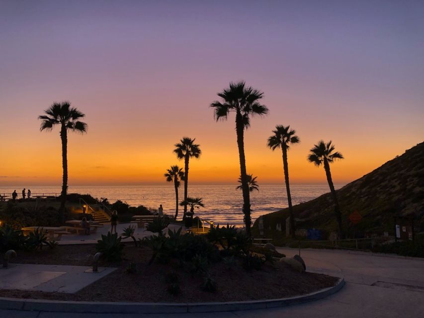 Solana Beach: Full Day Skimboard Rental - Is This Experience Worth It?