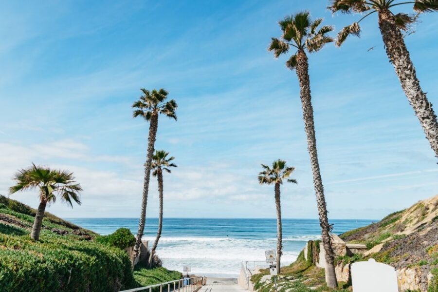 Solana Beach: Private Surf Lesson with Board and Wetsuit - Authentic Insights from Past Participants