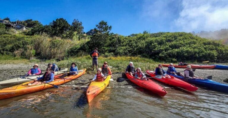 Sonoma Coast: Russian River Kayak Tour - Who Should Consider This Tour