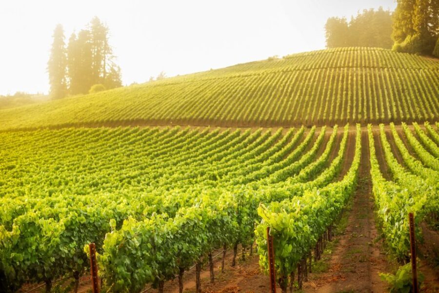 Sonoma County: Tasting Pass (Choose 1, 2, or 90 Days) - Final Thoughts