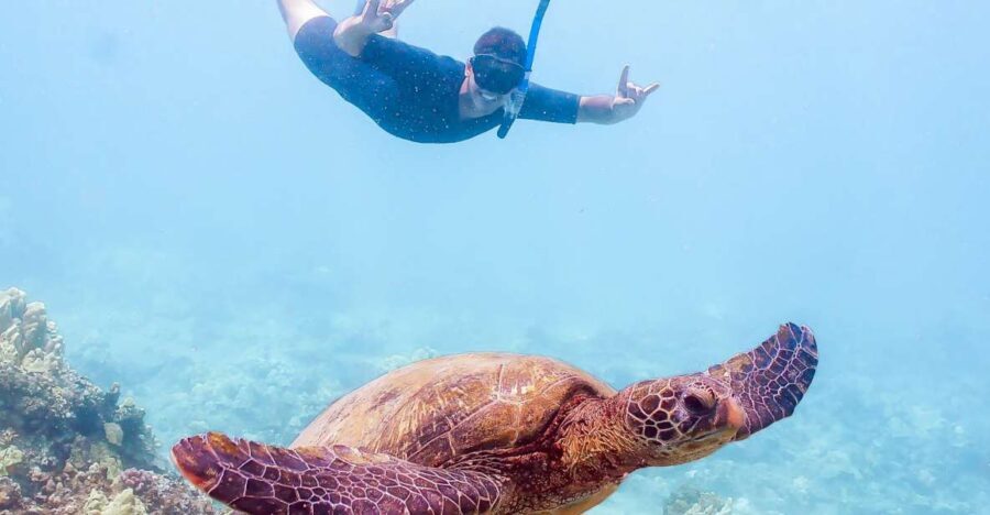 South Maui: Molokini Snorkeling Adventure - Starting Point and Logistics