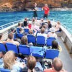 South Maui: Molokini Wild Eco Adventure from Maalaea Harbor - What Makes This Tour Stand Out